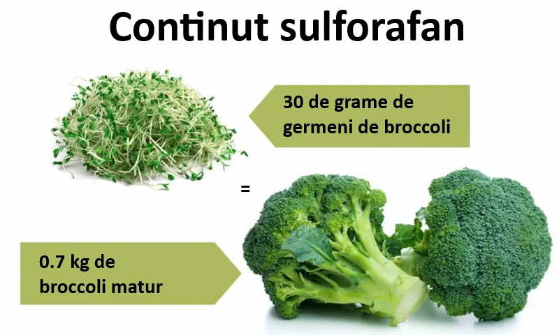 Sulforafan beneficii sulforafan sulphoraphane