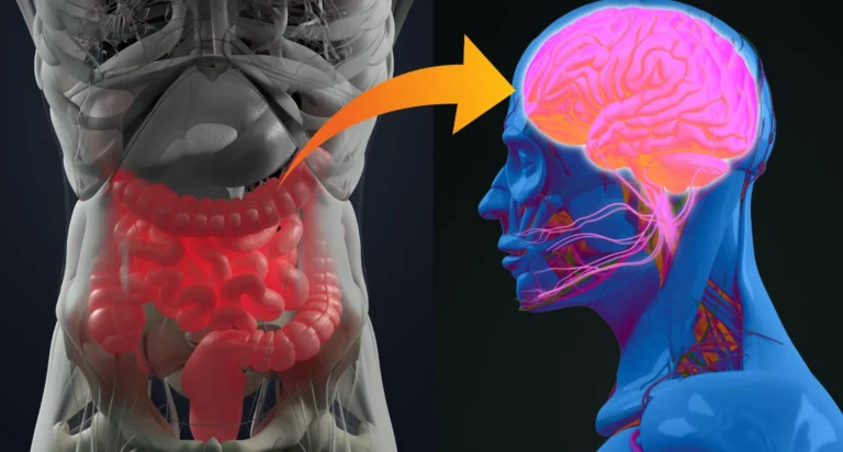 Legatura dintre boala Parkinson si microbiomul intestinal