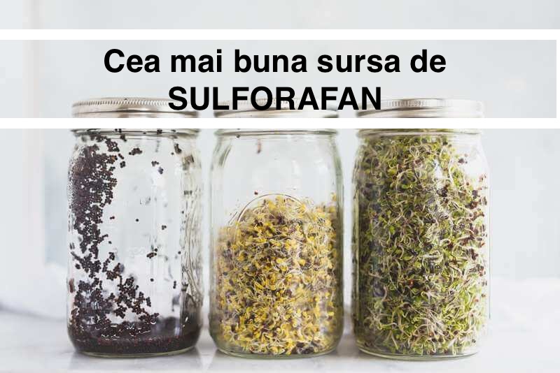 germeni de broccoli cea mai buna sursa de sulforafan