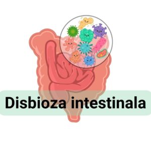 disbioza intestinala