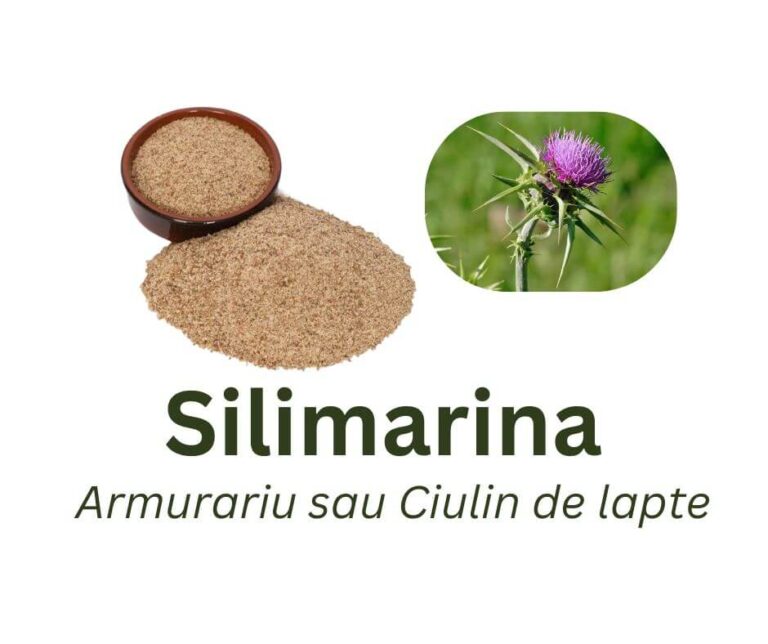 silimarina din armurariu sau ciulin de lapte